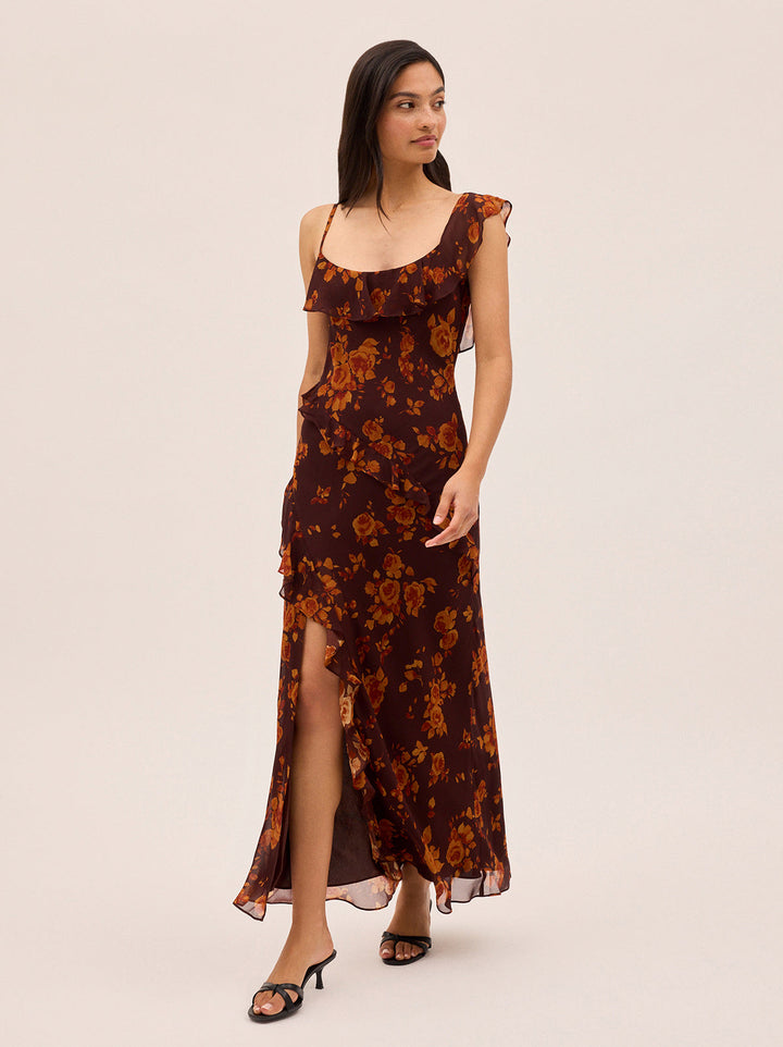 Delphina Autumn Rose Print Dress